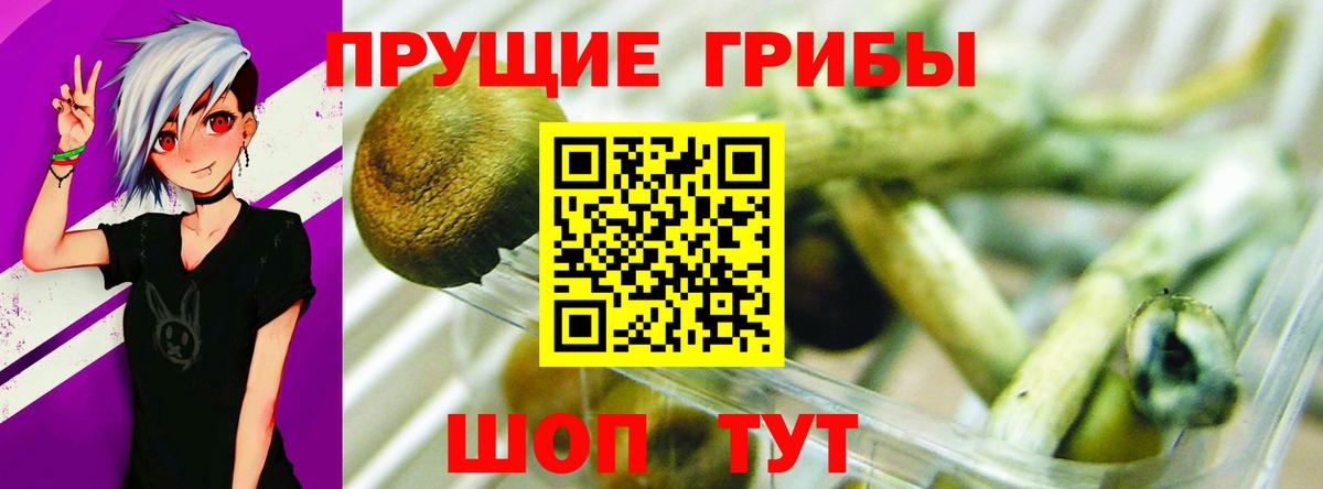 Галлюциногенные грибы мицелий  Вход с VPN  Ковров  Псилоцибиновые грибы прущие грибы 