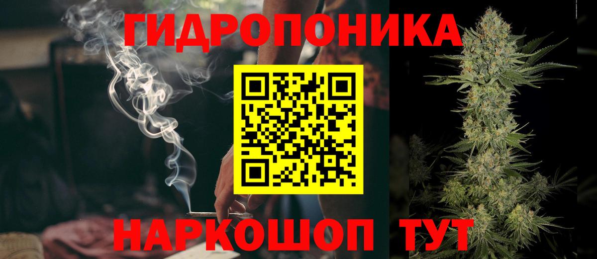 Шишки марихуана сатива Ковров